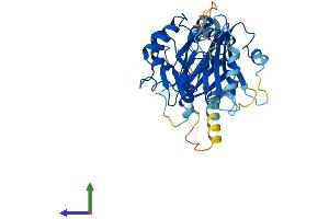 AlphaFold protein structure predicition of Mouse Recombinant Fbxo22 Protein, UniprotID Q78JE5