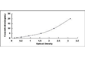Typical standard curve (DICER1 Kit ELISA)