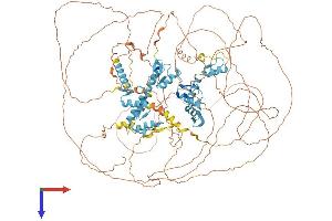 AlphaFold protein structure predicition of Mouse Recombinant Rest Protein, UniprotID Q8VIG1