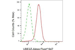 Flow cytometric analysis of UBE2Z expression in HepG2 cells using UBE2Z antibody (ABIN7800754), 1:1,000). (UBE2Z anticorps)