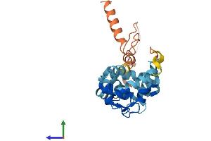 AlphaFold protein structure predicition of Human Recombinant KCNIP4 Protein, UniprotID Q6PIL6