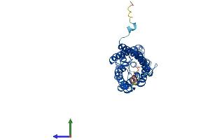 AlphaFold protein structure predicition of Human Recombinant AQP9 Protein, UniprotID O43315