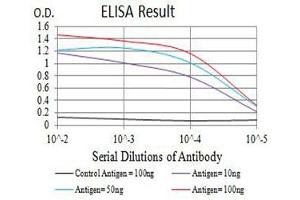 Black line: Control Antigen (100 ng),Purple line: Antigen (10 ng), Blue line: Antigen (50 ng), Red line:Antigen (100 ng) (PAR1 anticorps  (AA 42-176))