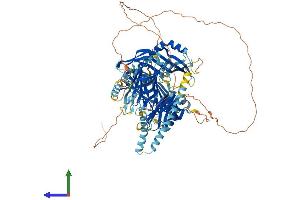 AlphaFold protein structure predicition of Human Recombinant ESYT2 Protein, UniprotID A0FGR8