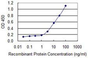 Detection limit for recombinant GST tagged SNTB2 is 0.