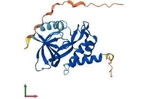 AlphaFold protein structure predicition of Mouse Recombinant Chac1 Protein, UniprotID Q8R3J5