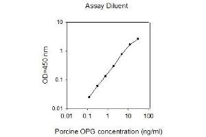 ELISA image for Tumor Necrosis Factor Receptor Superfamily, Member 11b (TNFRSF11B) ELISA Kit (ABIN2748464)