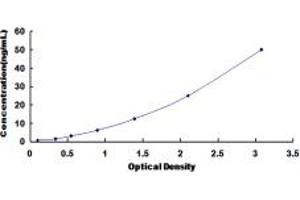 Typical standard curve (SGCD Kit ELISA)