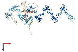 AlphaFold protein structure predicition of Human Recombinant ZNF135 Protein, UniprotID P52742