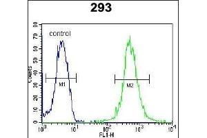 anti-WD Repeat Domain 48 (WDR48) (AA 603-630), (C-Term) antibody