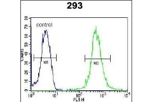 WDR48 Antibody (C-term) (ABIN654462 and ABIN2844195) flow cytometric analysis of 293 cells (right histogram) compared to a negative control cell (left histogram). (WDR48 anticorps  (C-Term))
