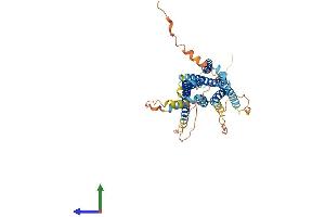AlphaFold protein structure predicition of Human Recombinant GPR61 Protein, UniprotID Q9BZJ8