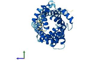 AlphaFold protein structure predicition of Mouse Recombinant Slc25a21 Protein, UniprotID Q8BZ09