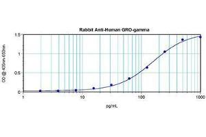 Image no. 4 for anti-Growth Regulated Oncogene gamma (GRO gamma) antibody (ABIN465909) (GRO gamma anticorps)