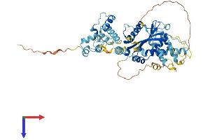 AlphaFold protein structure predicition of Mouse Recombinant Tigd4 Protein, UniprotID Q8BUZ3