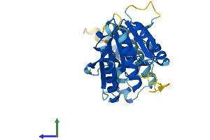 AlphaFold protein structure predicition of Human Recombinant FAM86B1 Protein, UniprotID Q8N7N1
