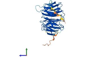 AlphaFold protein structure predicition of Mouse Recombinant Wdr77 Protein, UniprotID Q99J09