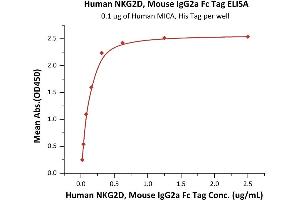 Immobilized Human MICA, His Tag (ABIN2181503,ABIN2181502) at 1 μg/mL (100 μL/well) can bind Human NKG2D, Mouse IgG2a Fc Tag (ABIN6973178) with a linear range of 0. (KLRK1 Protein (AA 73-216) (mFc Tag))