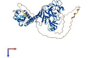 AlphaFold protein structure predicition of Mouse Recombinant Suv39h2 Protein, UniprotID Q9EQQ0
