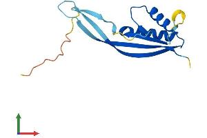 AlphaFold protein structure predicition of Human Recombinant POP7 Protein, UniprotID O75817