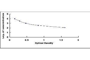Typical standard curve