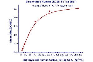 Measured by its binding ability in a functional ELISA.