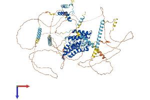 AlphaFold protein structure predicition of Human Recombinant BRDT Protein, UniprotID Q58F21