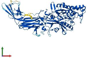 AlphaFold protein structure predicition of Mouse Recombinant Padi4 Protein, UniprotID Q9Z183