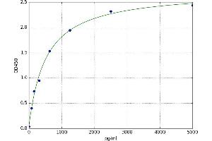 A typical standard curve