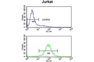 Flow Cytometry (FACS) image for anti-Propionyl CoA Carboxylase beta Polypeptide (PCCB) antibody (ABIN3003937)