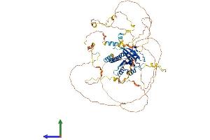 AlphaFold protein structure predicition of Mouse Recombinant Rabl6 Protein, UniprotID Q5U3K5