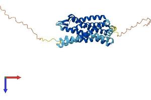 Chemokine (C-C Motif) Receptor 3 (CCR3) (AA 1-359) protein (His tag)