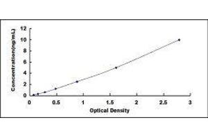 Upregulator of Cell Proliferation (URGCP) ELISA Kit