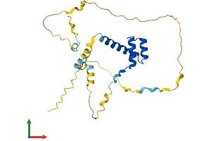 AlphaFold protein structure predicition of Human Recombinant EMX2 Protein, UniprotID Q04743