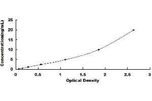 Typical standard curve (HLA-A Kit ELISA)