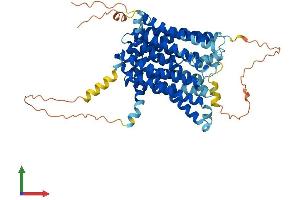 AlphaFold protein structure predicition of Mouse Recombinant Slc40a1 Protein, UniprotID Q9JHI9