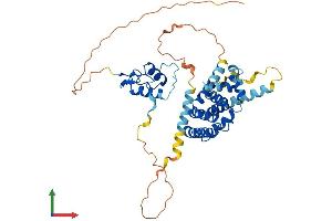AlphaFold protein structure predicition of Human Recombinant NR2E3 Protein, UniprotID Q9Y5X4