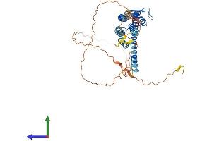 AlphaFold protein structure predicition of Mouse Recombinant Gja3 Protein, UniprotID Q64448
