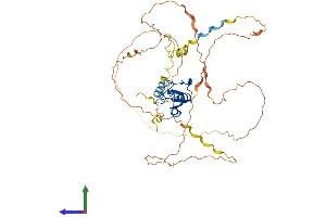 AlphaFold protein structure predicition of Human Recombinant RNF44 Protein, UniprotID Q7L0R7