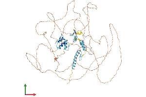 AlphaFold protein structure predicition of Human Recombinant CHAMP1 Protein, UniprotID Q96JM3