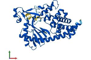 AlphaFold protein structure predicition of Human Recombinant MAB21L2 Protein, UniprotID Q9Y586