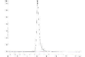 Size-exclusion chromatography-High Pressure Liquid Chromatography (SEC-HPLC) image for Mesothelin (MSLN) protein (Fc Tag) (ABIN7275282)