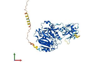 AlphaFold protein structure predicition of Human Recombinant GALNT14 Protein, UniprotID Q96FL9