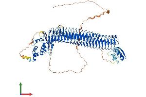 AlphaFold protein structure predicition of Human Recombinant FBXO11 Protein, UniprotID Q86XK2