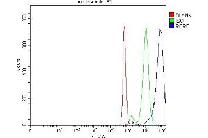 Flow Cytometry analysis of Neuro-2a cells using anti-ROR Beta/RORB antibody (ABIN7599423). (RORB anticorps  (AA 1-470))