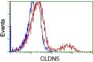 HEK293T cells transfected with either pCMV6-ENTRY CLDN5 (RC207122) (Red) or empty vector control plasmid (Blue) were immunostained with anti-CLDN5 mouse monoclonal (ABIN2452908), and then analyzed by flow cytometry.