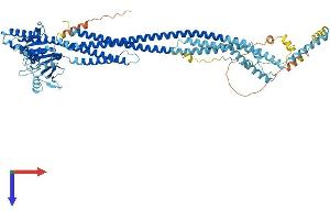 AlphaFold protein structure predicition of Mouse Recombinant Mfn2 Protein, UniprotID Q80U63