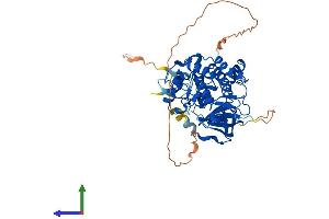 AlphaFold protein structure predicition of Human Recombinant VRK3 Protein, UniprotID Q8IV63