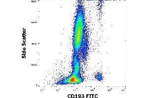 Flow cytometry surface staining pattern of human peripheral whole blood stained using anti-human CD193 (5E8) FITC antibody (4 μL reagent / 100 μL of peripheral whole blood). (CCR3 anticorps  (FITC))