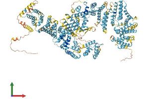 AlphaFold protein structure predicition of Mouse Recombinant Fanca Protein, UniprotID Q9JL70
